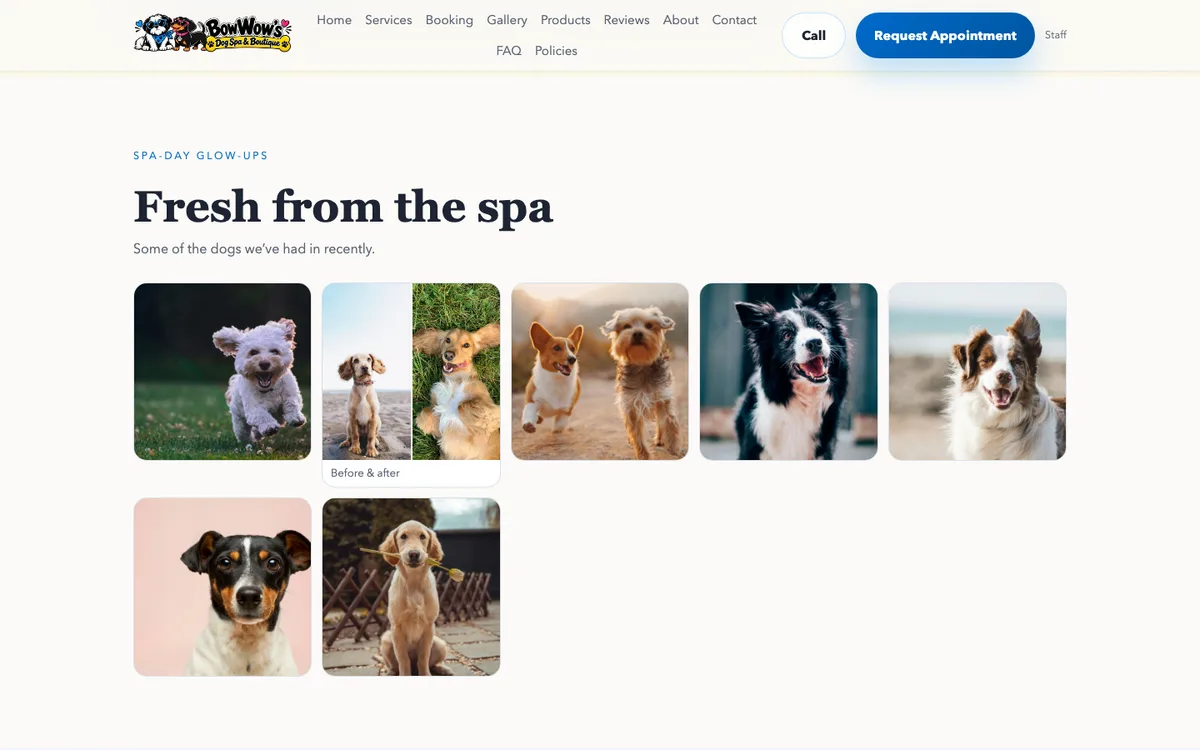 Gallery section with a grid of sample dog photos and a before-and-after pair